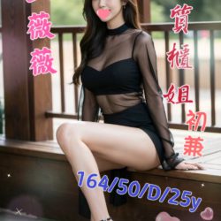 地區:台南外送茶<hr>妹名:王薇薇<hr>標籤:台南櫃姐外約