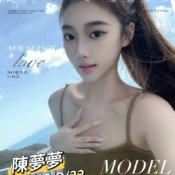 地區:安平外送茶<hr>妹名:陳夢夢<hr>標籤:台南一夜情